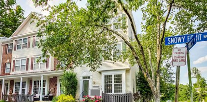 8310 Snowy Egrit Way Unit #41, Lorton