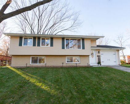 130 Standish Lane, Schaumburg