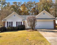 1007 Riverwalk Way, Irmo image
