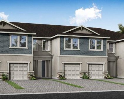 5539 Brooklet Woods Drive, Wesley Chapel