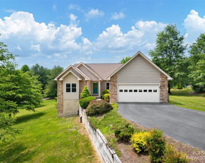 1223 North Ridge  Road, Hendersonville