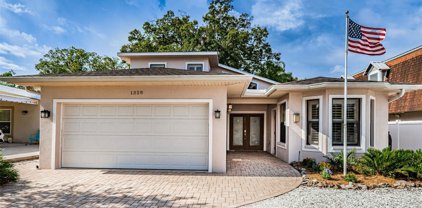 1328 Michigan Avenue, Palm Harbor