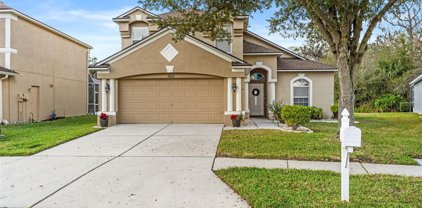 25203 Geddy Drive, Land O' Lakes