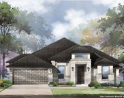 3039 Daplyn Park, Bulverde image