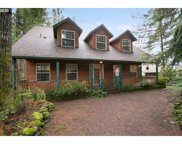 38101 NE ELLIOTT RD, Yacolt image