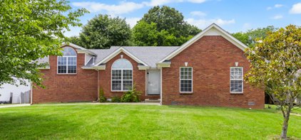 147 Observatory Dr, Clarksville