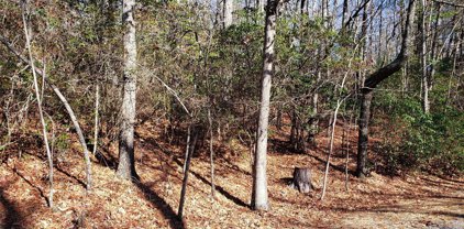 9999 Galax  Lane Unit #G-11, Brevard