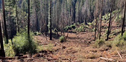 Lot 03 Branson Ranch RD, Boulder Creek
