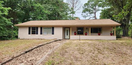 1511 CR 2425, Mineola