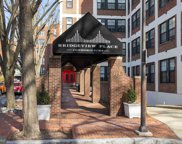 315 New St Unit #101, Philadelphia image
