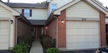 570 E Windgate Court, Arlington Heights