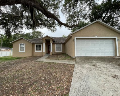 8515 Jackson Springs Road, Tampa
