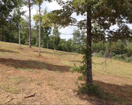 Lot 2 6 Mile Rd, Maryville