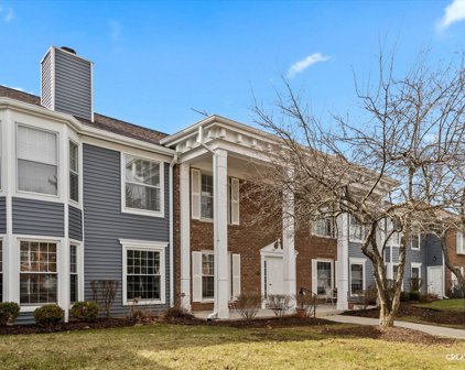 1132 Spring Garden Circle Unit #32, Naperville