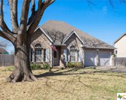 408 Thunderbay Drive, Georgetown image