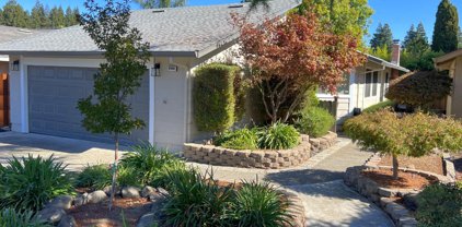 6466 Amberwood Street, Rohnert Park