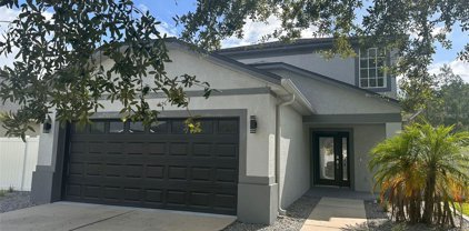 3112 Donington Castle Lane, Land O' Lakes