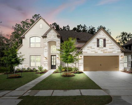 15712 Dandelion Dreams Street, Conroe