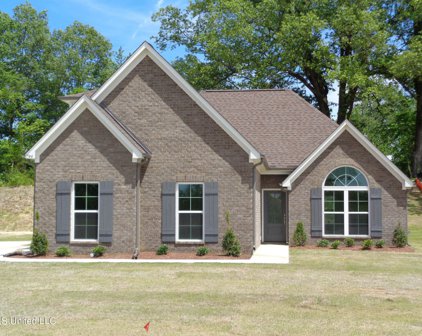 7744 Emeline Drive, Horn Lake