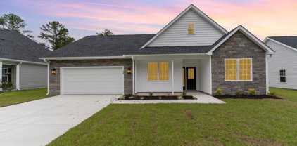 449 Log Cabin Rd., Loris
