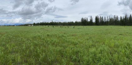 NNA Yellow Pine, Athol