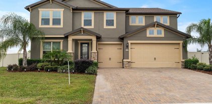 17572 Sailfin Drive, Orlando