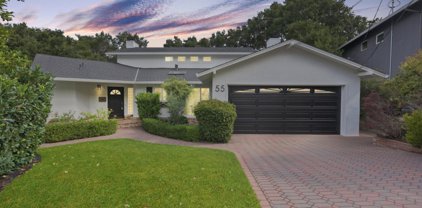 55 Treetop LN, San Mateo