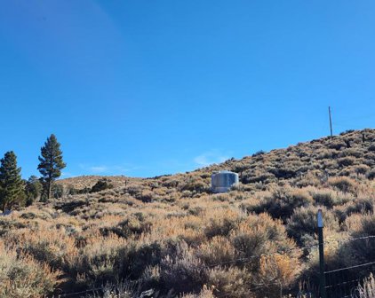 Vale, Big Bear