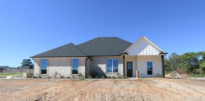 14175 Lexi Court, Tyler