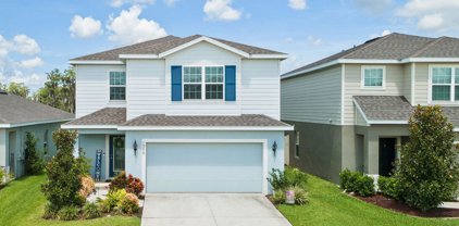 10279 Hawks Landing Drive, Land O' Lakes