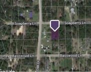 Soapberry Lane, Plantersville image