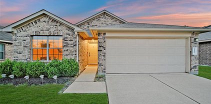 24427 Pigeon Berry Drive, Spring