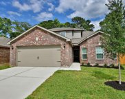 10671 Lost Maples Drive, Cleveland image
