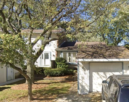 226 Millcreek Lane, Bloomingdale