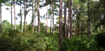 264 Royal Tern Way, Carrabelle