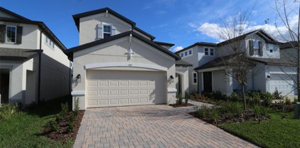 7313 Notched Pine Bend, Wesley Chapel