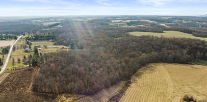 Mullinix Mill Rd, Mount Airy