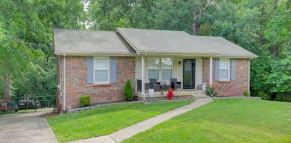 2029 Dinsmore Rd, Clarksville