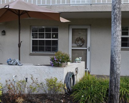 940 Virginia Street Unit 103, Dunedin