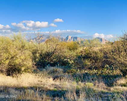 1235 W Weathered Stone Unit #Lot 118, Oro Valley