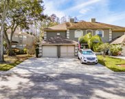 14102 Trouville Drive, Tampa image