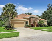 11609 Bromley Court, Lithia image