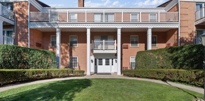 90 6Th Avenue Unit #310, La Grange