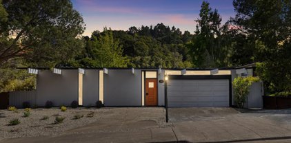 2221 Bunker Hill DR, San Mateo