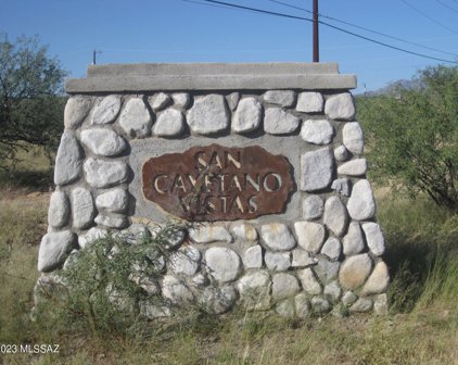 1857 Cirulo Mexicali Unit #84, Rio Rico