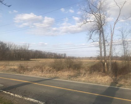 Gast Road, Bridgman