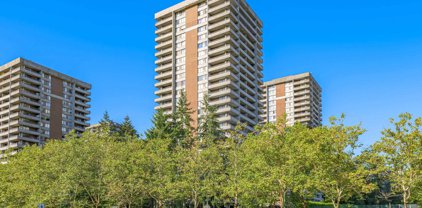 3755 Bartlett Court Unit 1501, Burnaby