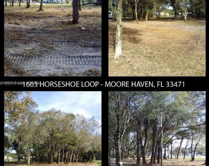 1603 Horseshoe Loop, Moore Haven