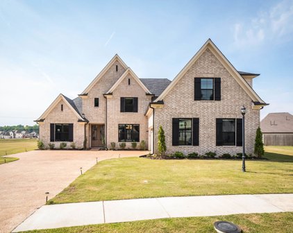 637 Woodland Levee Way, Cordova