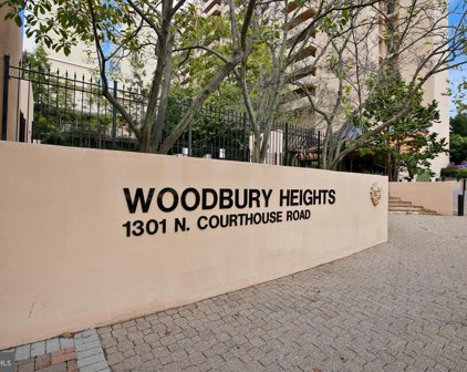 1301 N Courthouse Rd Unit #607, Arlington